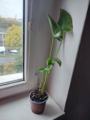 IMG_20251022_092502.jpg