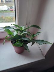 IMG_20251022_091846.jpg