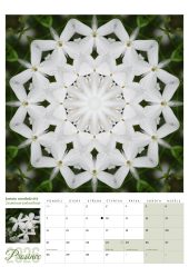 Kalendář (náhled)-13.jpg