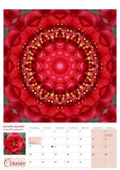 Kalendář (náhled)-8.jpg